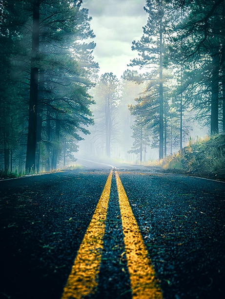 IMG_6452-Enhanced-NR-Edit