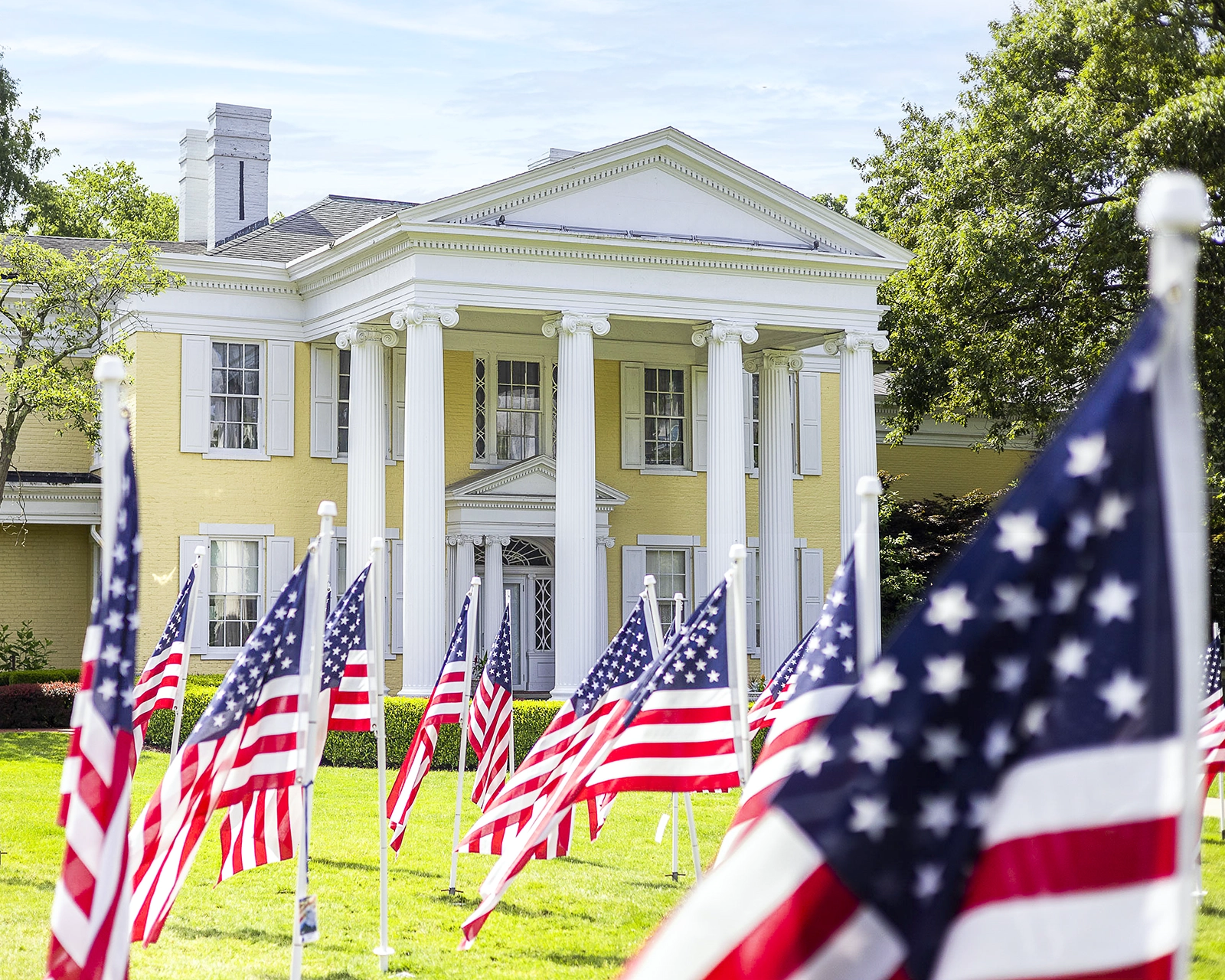 IMG_0421-Edit-Enhanced-SR copy