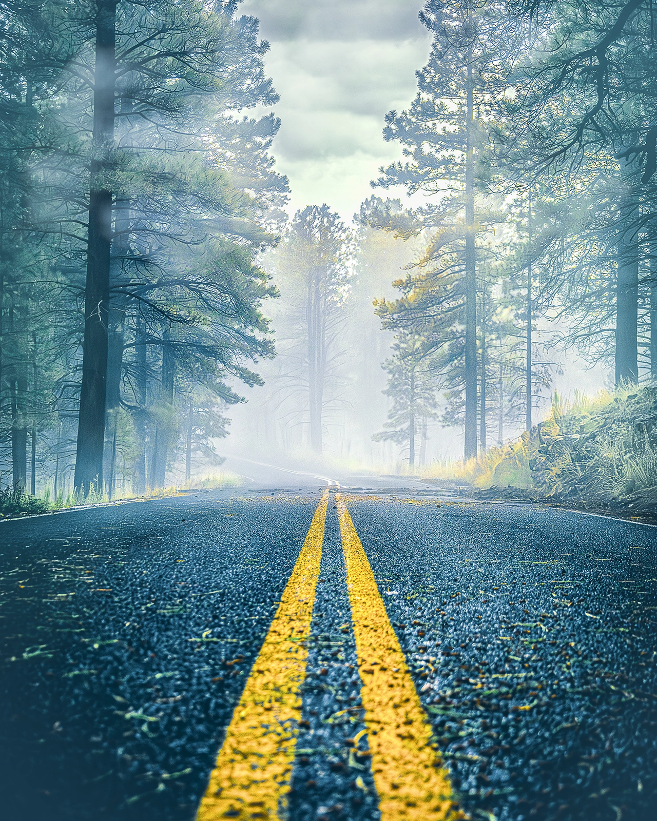 IMG_6452-Enhanced-NR-Edit copy